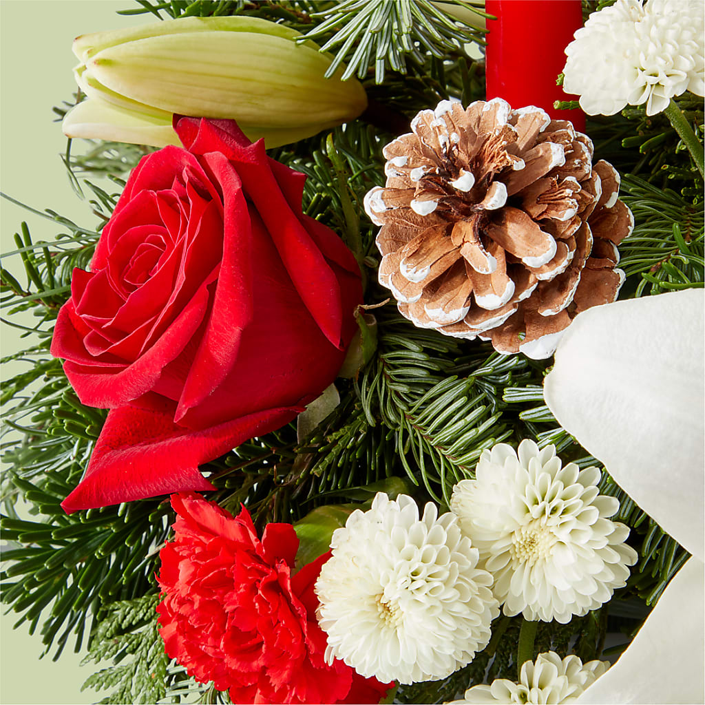 Seasonal Festivities Centerpiece – EAST MAIN GARDENS FLRST & GREENHSES INC, Niles MI