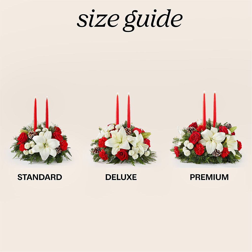 Seasonal Festivities Centerpiece – EAST MAIN GARDENS FLRST & GREENHSES INC, Niles MI