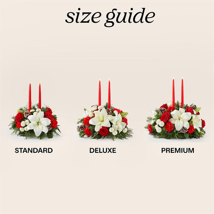 Seasonal Festivities Centerpiece – EAST MAIN GARDENS FLRST & GREENHSES INC, Niles MI