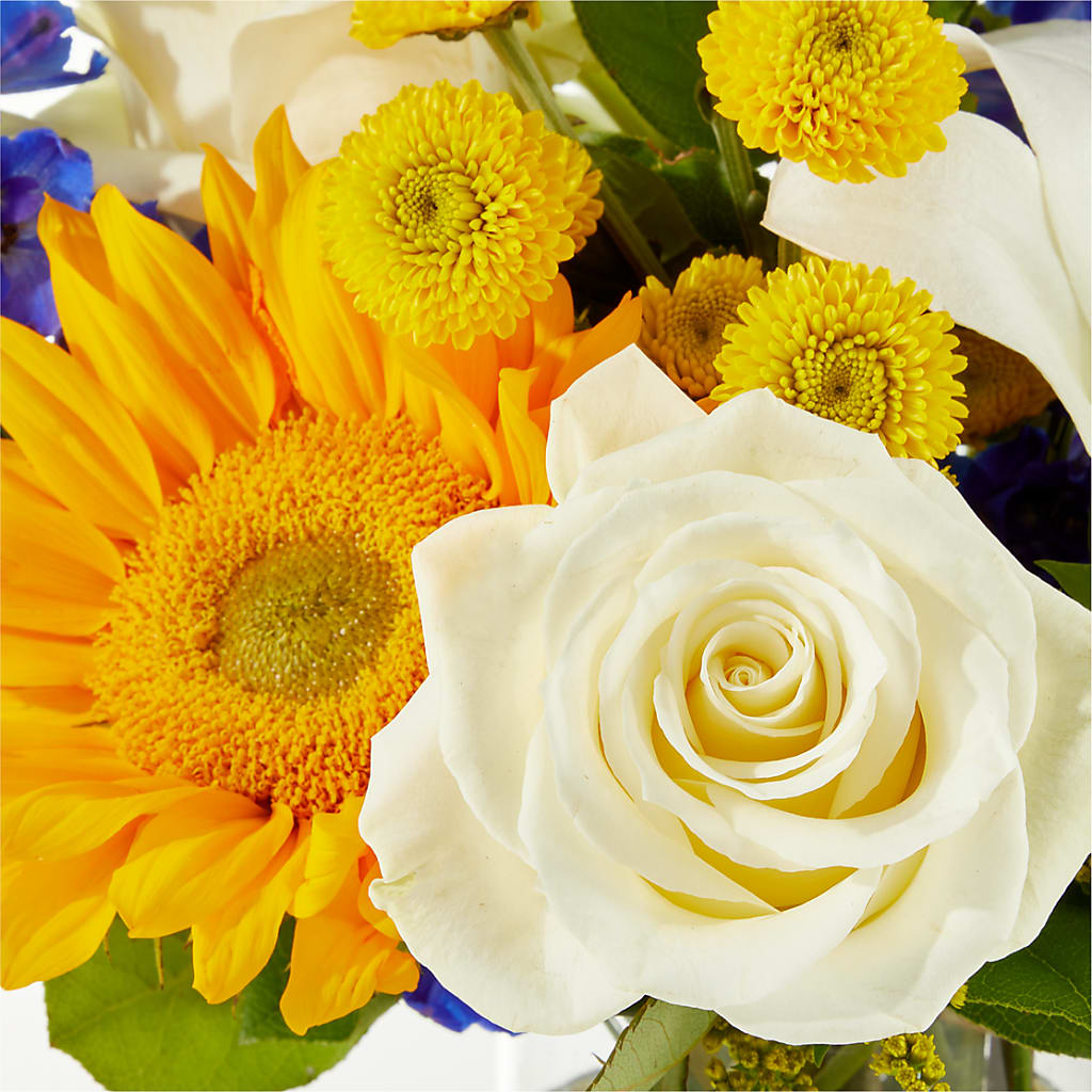 Stargazing Bouquet – EAST MAIN GARDENS FLRST & GREENHSES INC, Niles MI