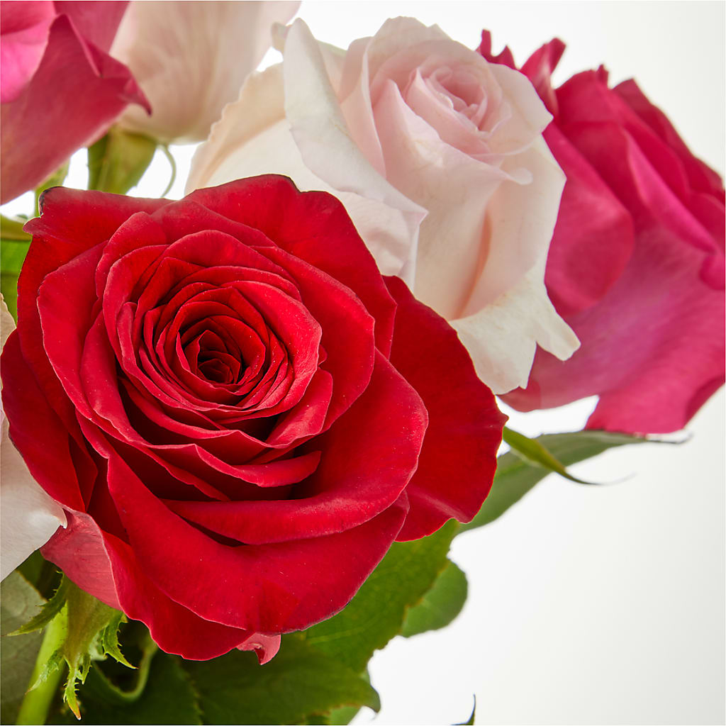 Charming Rose Bouquet – EAST MAIN GARDENS FLRST & GREENHSES INC, Niles MI