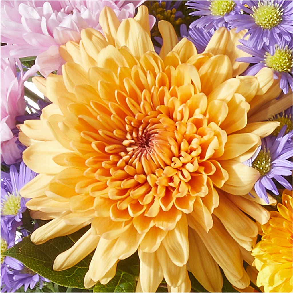 Countryside Bouquet – EAST MAIN GARDENS FLRST & GREENHSES INC, Niles MI