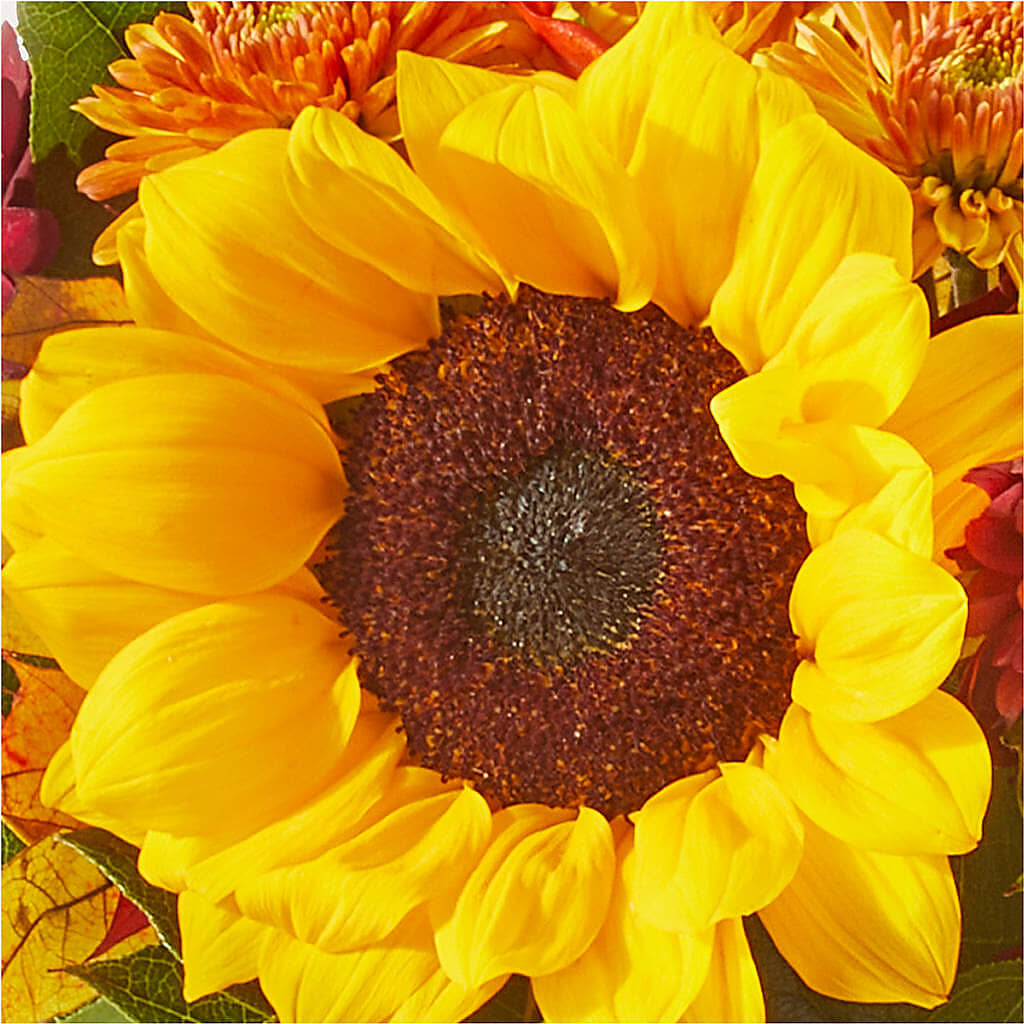 Sunny Side Bouquet – EAST MAIN GARDENS FLRST & GREENHSES INC, Niles MI