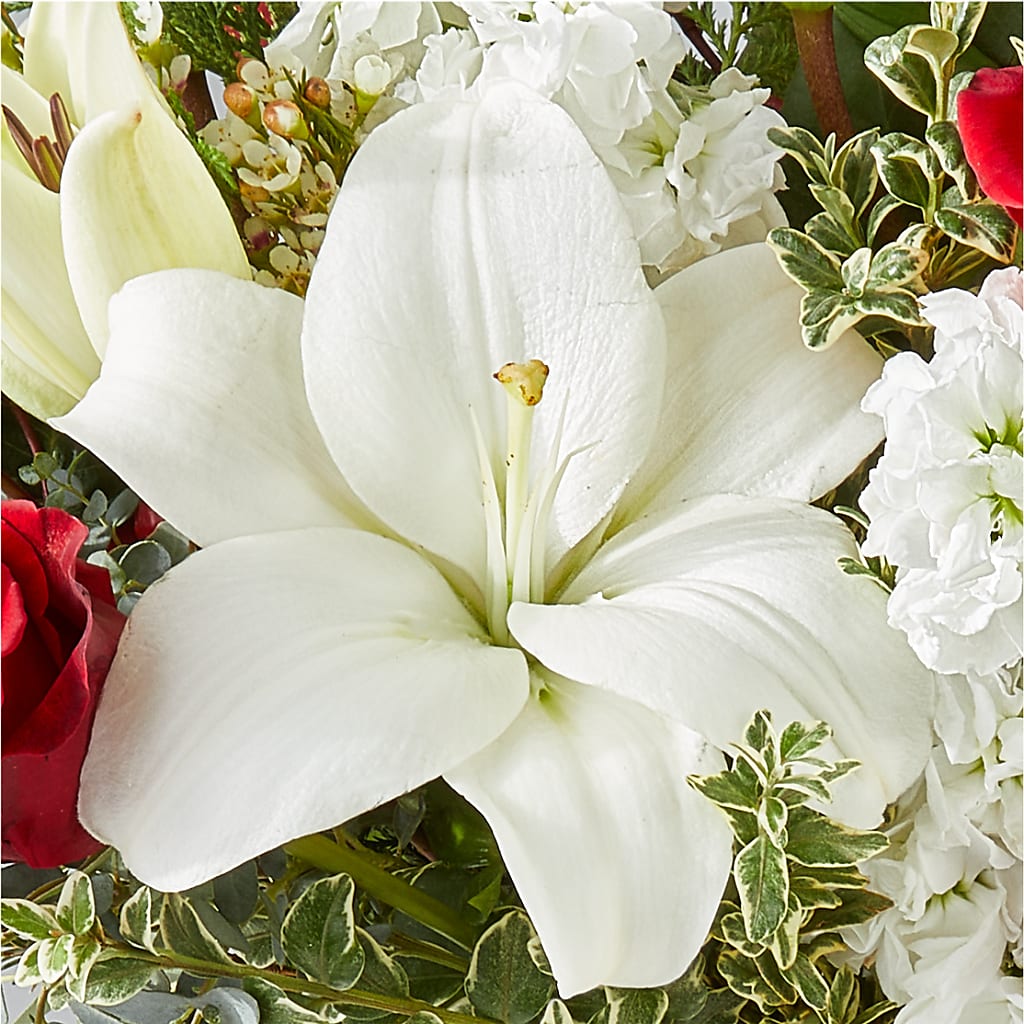 Twinkle Lights Bouquet – EAST MAIN GARDENS FLRST & GREENHSES INC, Niles MI