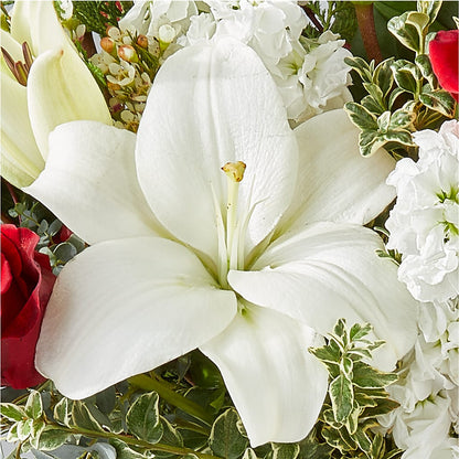 Twinkle Lights Bouquet – EAST MAIN GARDENS FLRST & GREENHSES INC, Niles MI