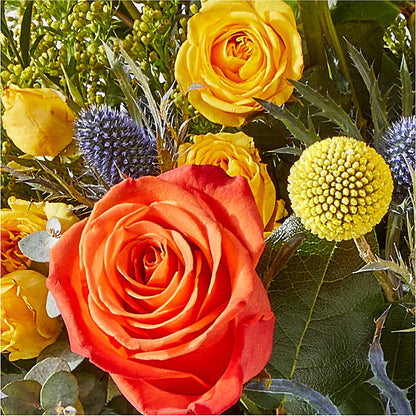 Disco Bouquet – EAST MAIN GARDENS FLRST & GREENHSES INC, Niles MI