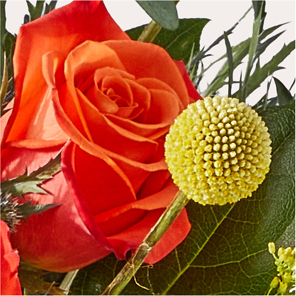 Disco Bouquet – EAST MAIN GARDENS FLRST & GREENHSES INC, Niles MI