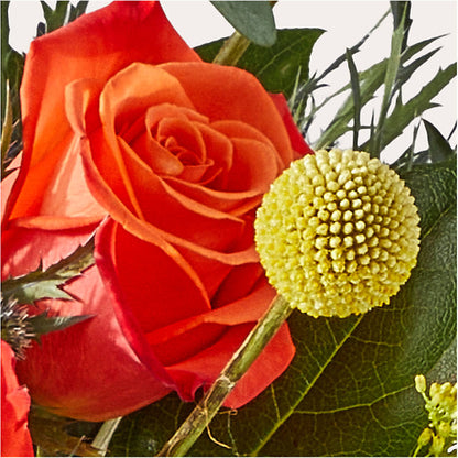Disco Bouquet – EAST MAIN GARDENS FLRST & GREENHSES INC, Niles MI
