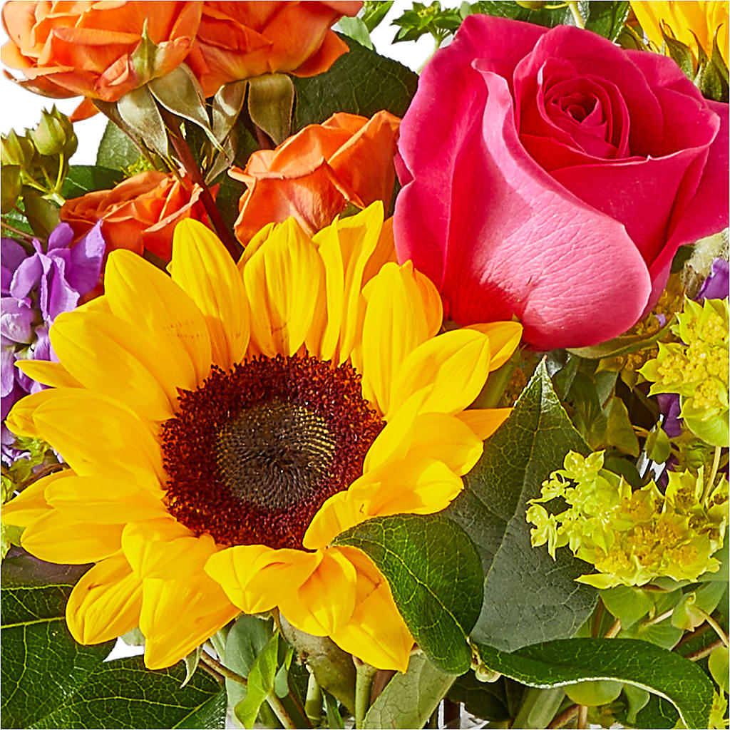 Vibrant Greetings Bouquet – EAST MAIN GARDENS FLRST & GREENHSES INC, Niles MI