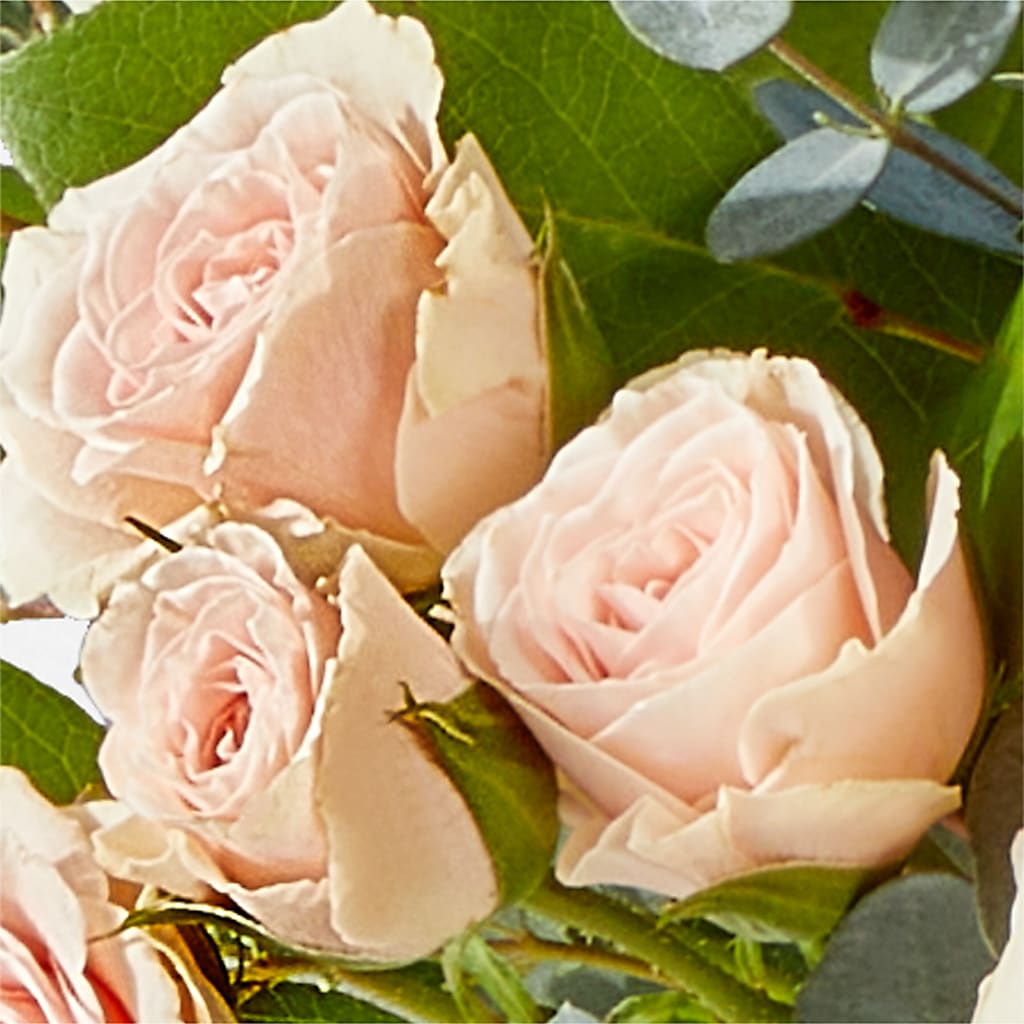 Inspired Bouquet – EAST MAIN GARDENS FLRST & GREENHSES INC, Niles MI