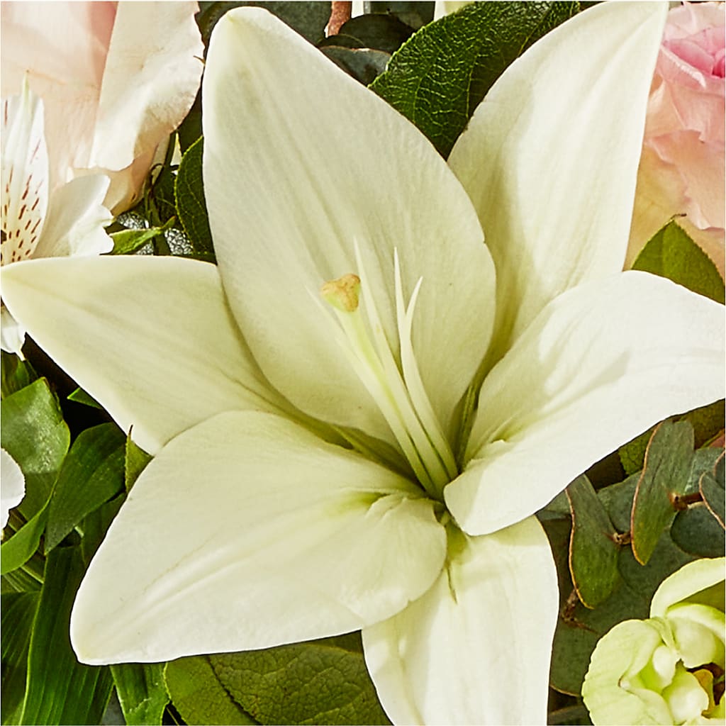 Ballet Slippers Bouquet – EAST MAIN GARDENS FLRST & GREENHSES INC, Niles MI