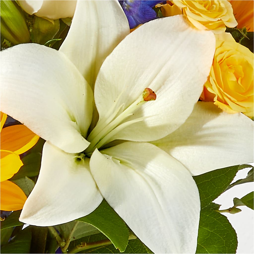 Wonderfully Sunny Bouquet – EAST MAIN GARDENS FLRST & GREENHSES INC, Niles MI