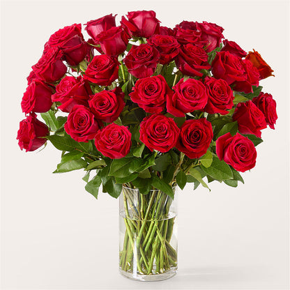 The One Red Rose Bouquet – EAST MAIN GARDENS FLRST & GREENHSES INC, Niles MI