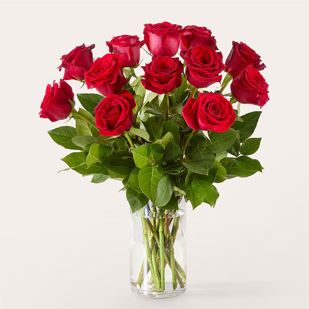 The One Red Rose Bouquet – EAST MAIN GARDENS FLRST & GREENHSES INC, Niles MI
