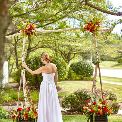Arbor of Love Archway – EAST MAIN GARDENS FLRST & GREENHSES INC, Niles MI
