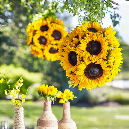 Sublime Garden Hanging Arrangement – EAST MAIN GARDENS FLRST & GREENHSES INC, Niles MI