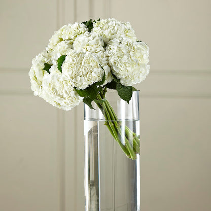 White Hydrangea Hand-Tied Bouquet – EAST MAIN GARDENS FLRST & GREENHSES INC, Niles MI