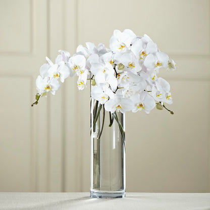 White Phalaenopsis Bouquet – EAST MAIN GARDENS FLRST & GREENHSES INC, Niles MI